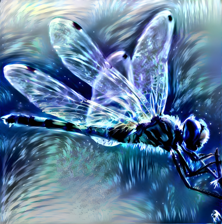 Stormy dragonfly