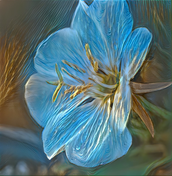 Blue & Gold flower