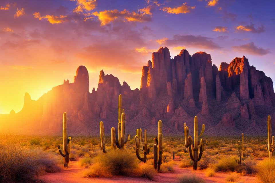 Vivid desert sunset with rocky mountains and cacti