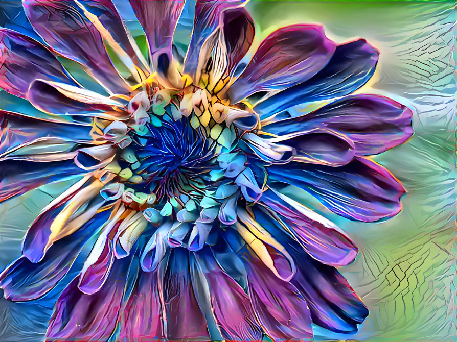 rainbow flower