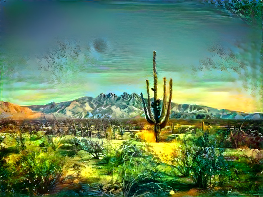 Desert landscape