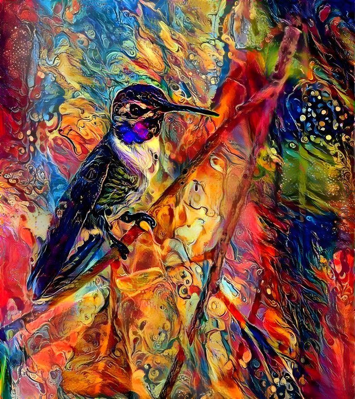 Hummingbird