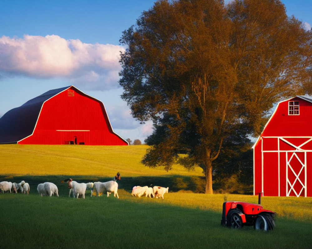 Rural landscape with red barn, sheep, tree, tractor, and golden hour sky