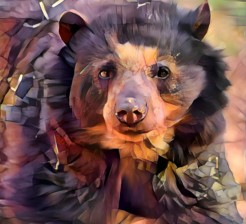 Bear