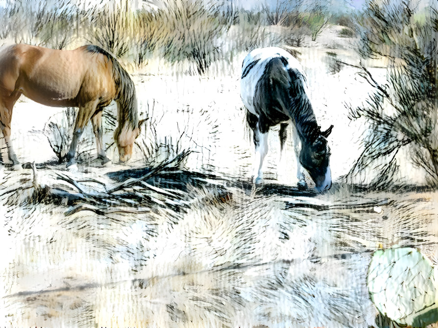 horses