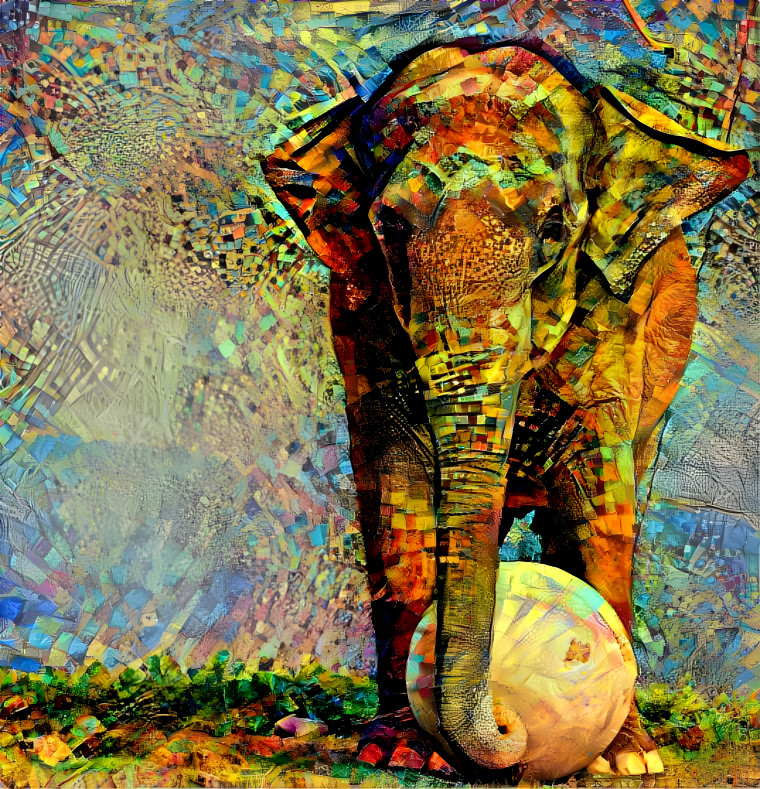 Elephant