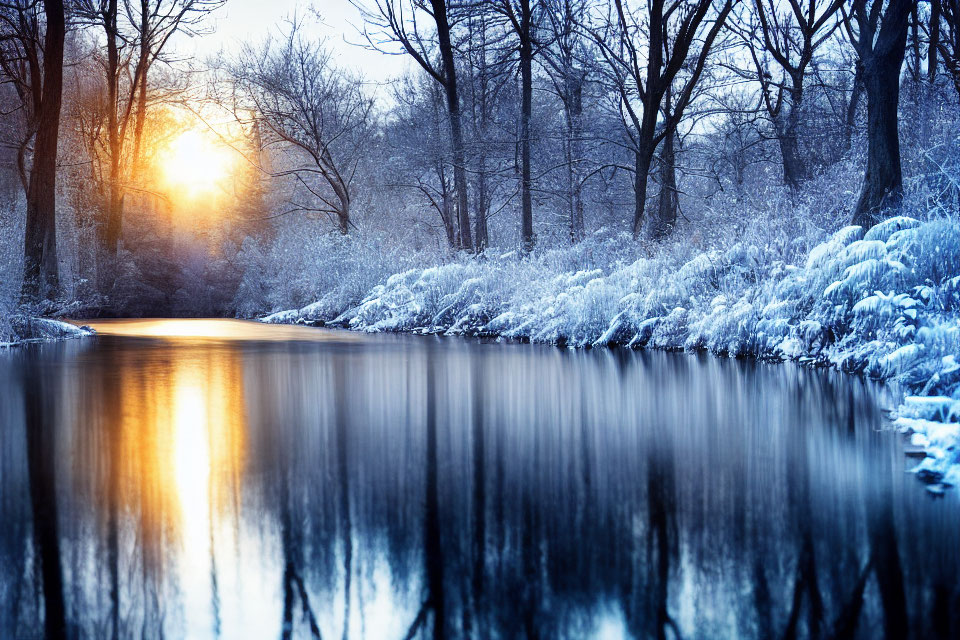 Snowy riverbank at sunset with trees and serene water