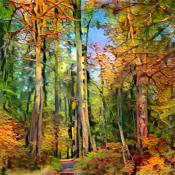 Forest trail