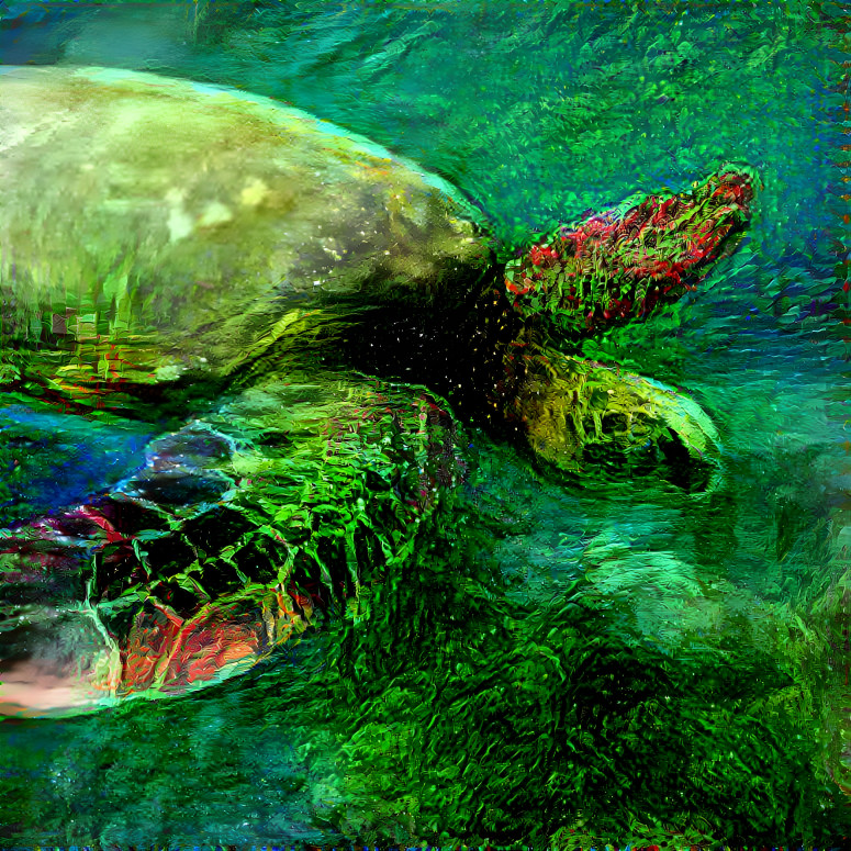 turtle