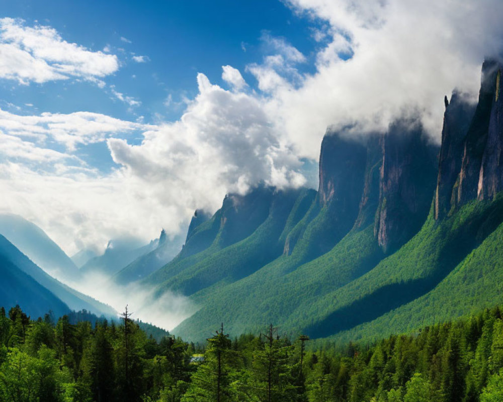 Panoramic view of lush green forest and misty cliffs under blue sky