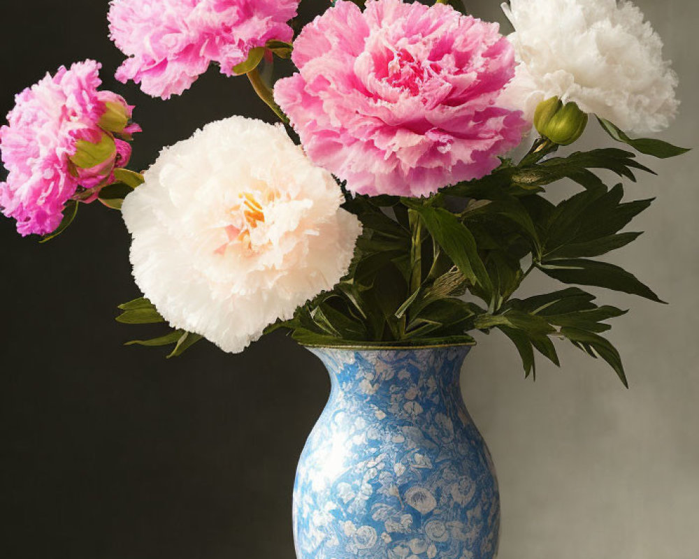 Pink and White Peonies in Blue Porcelain Vase on Table