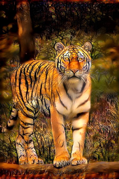 tiger