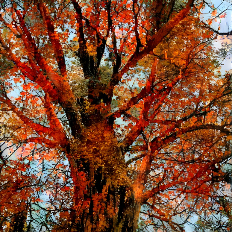 maple leaf red (枫叶红了)