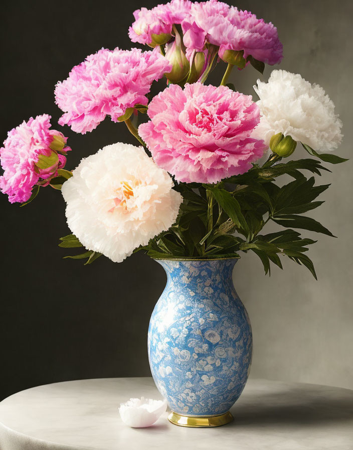 Pink and White Peonies in Blue Porcelain Vase on Table