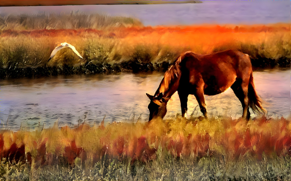 Horses graze on the river bank