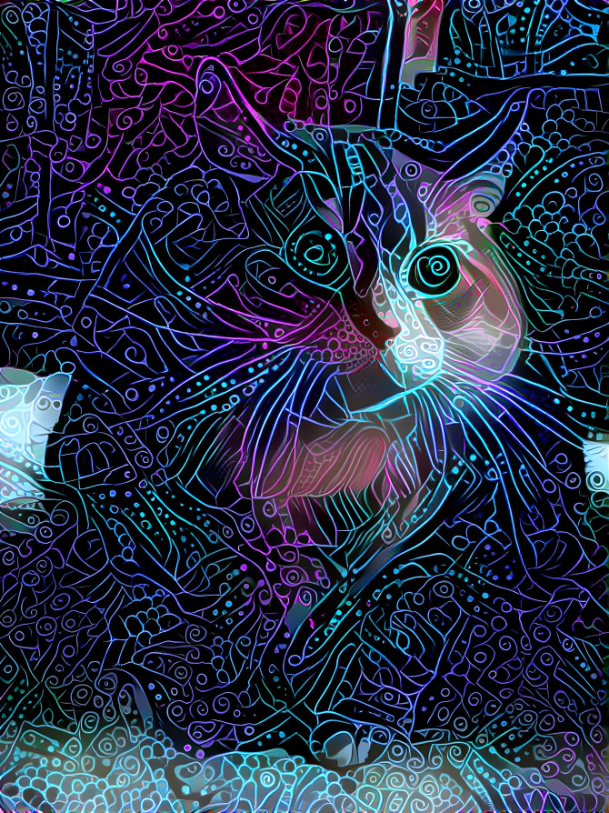 Trippy cat