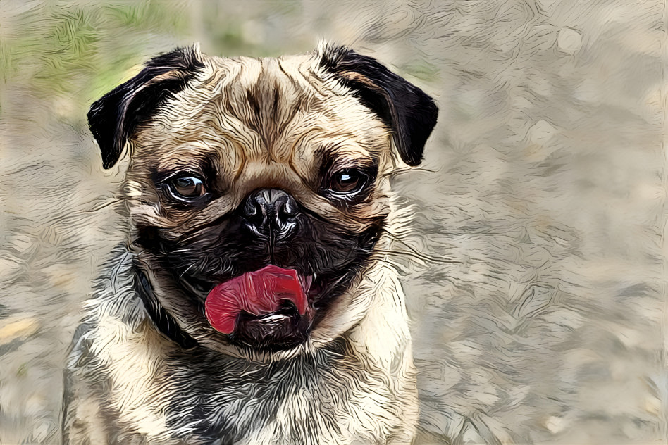 Karl the Pug