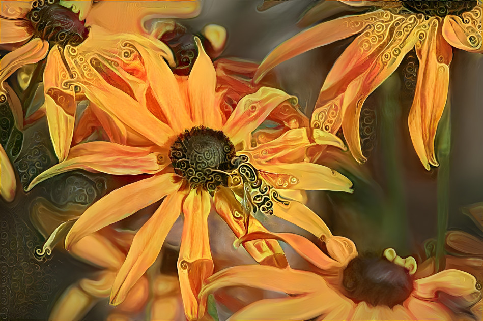 Coneflowers with Bee