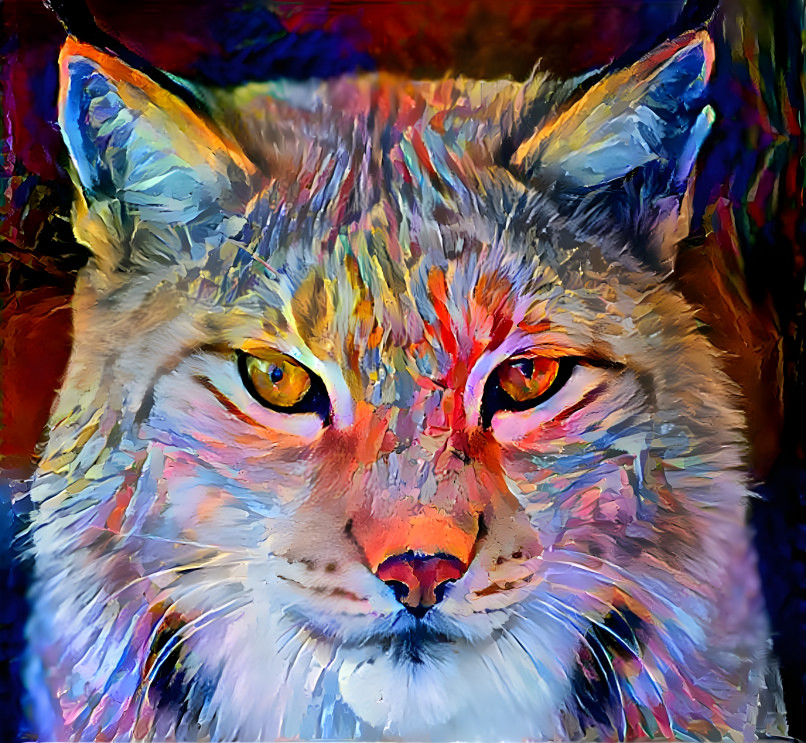 Bobcat