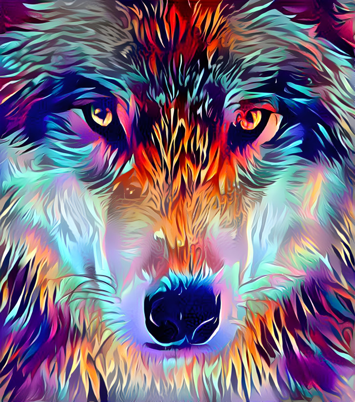 Colorful Wolf