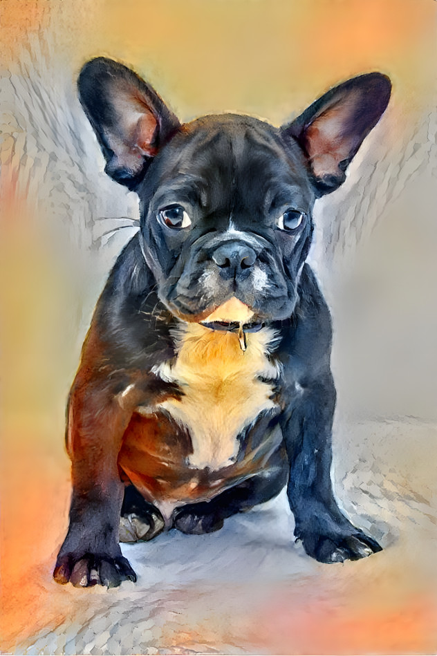 French Bulldog