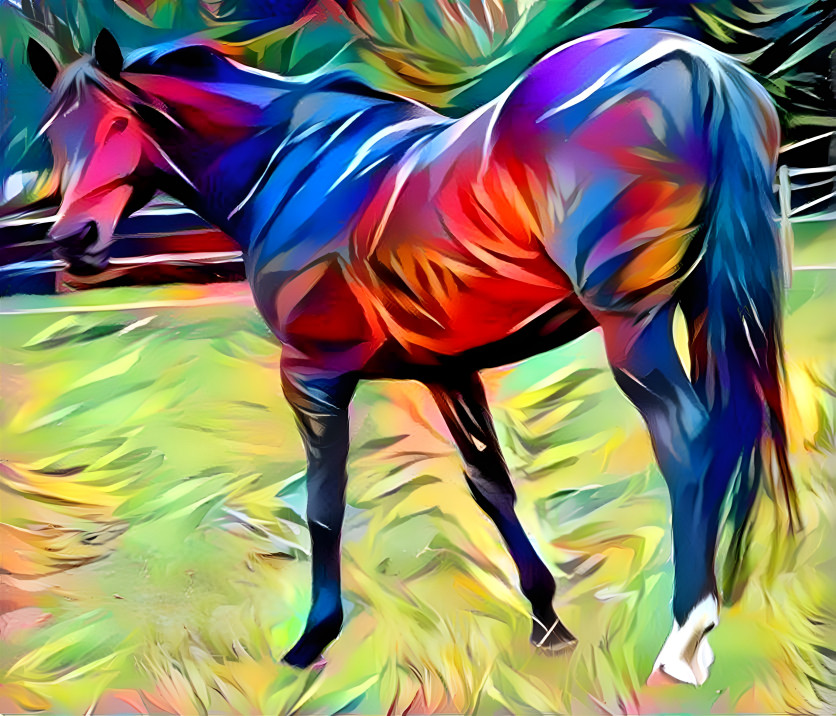 Colorful Horse