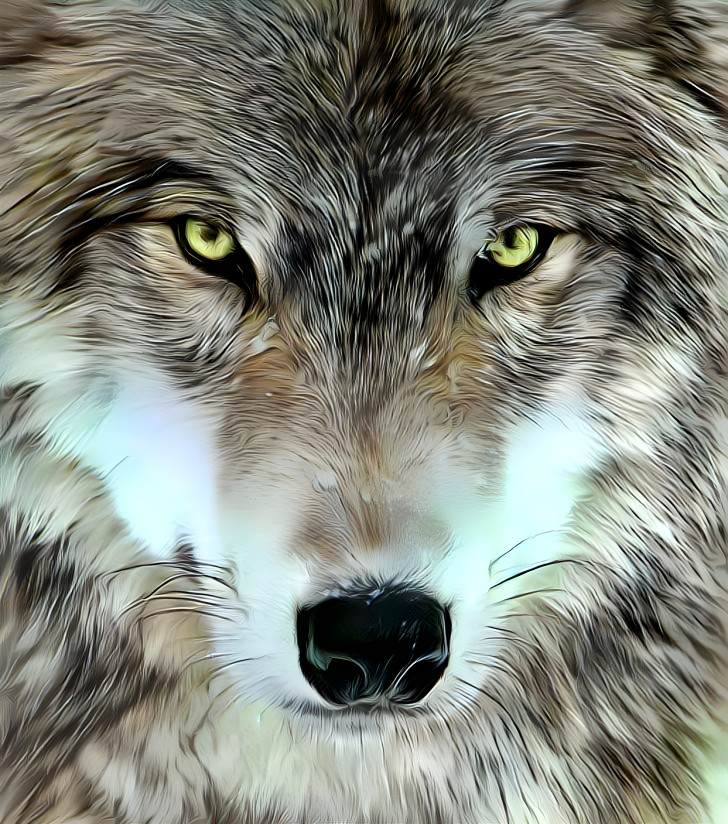 Wolf Eyes