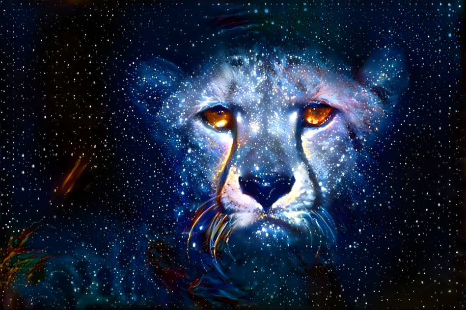 Cheetah in the Stars