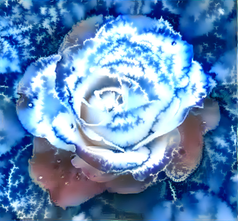 Frozen Rose