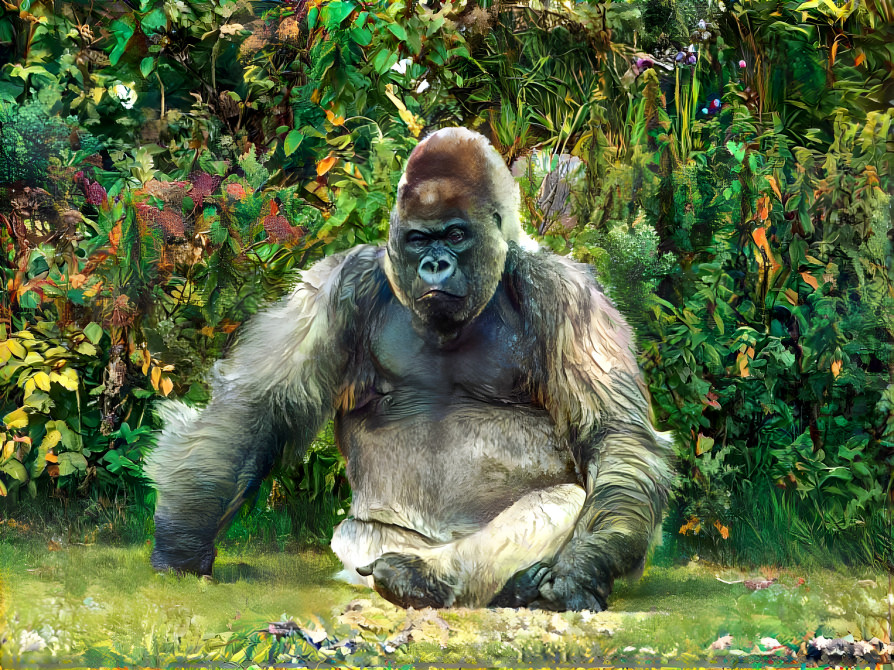 Gorilla