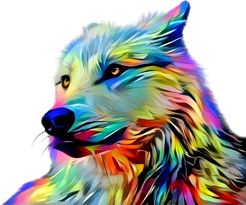 Rainbow Wolf