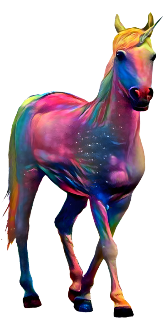 Rainbow Unicorn