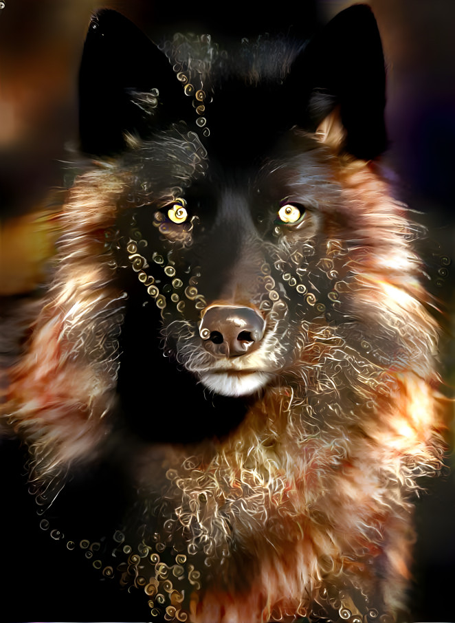 Brown Wolf