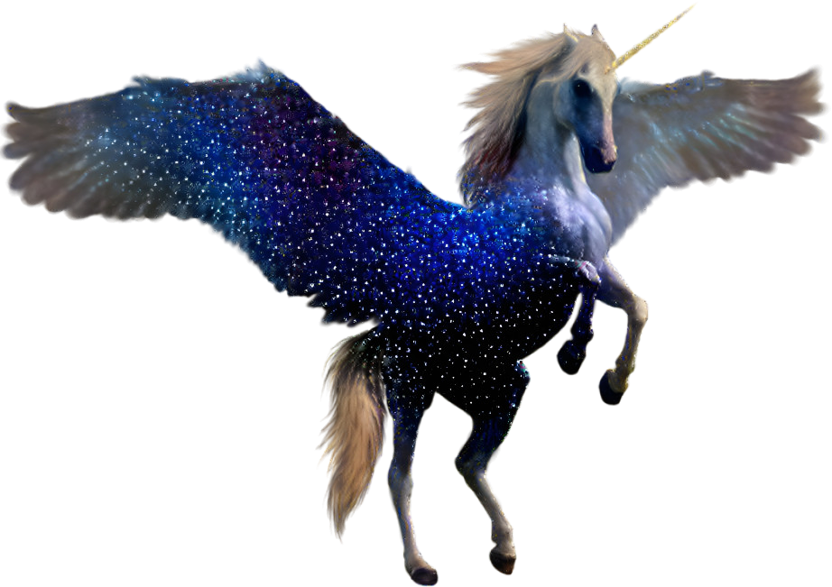 Star Pegasus