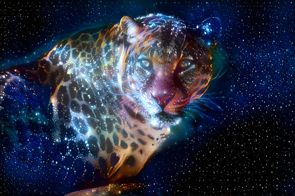 Leopard in the Stars