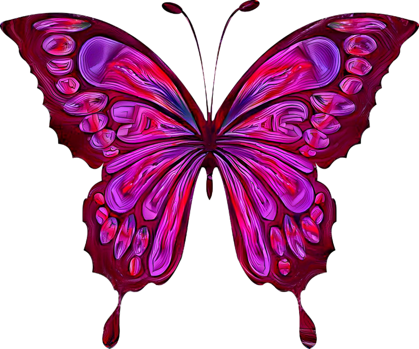 Pink Butterfly