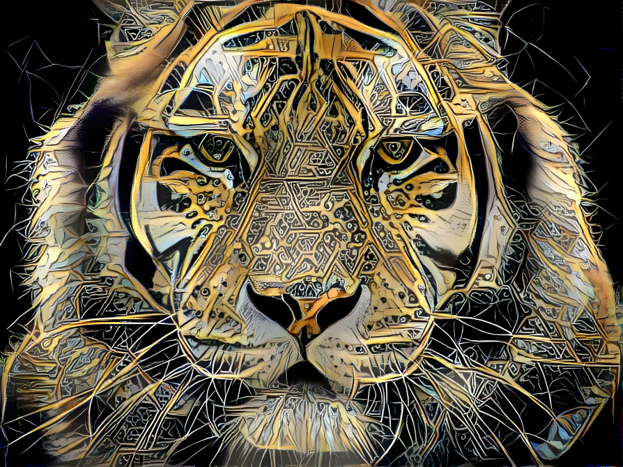 Gold Tiger