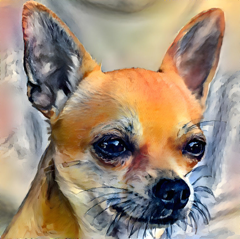 Chihuahua