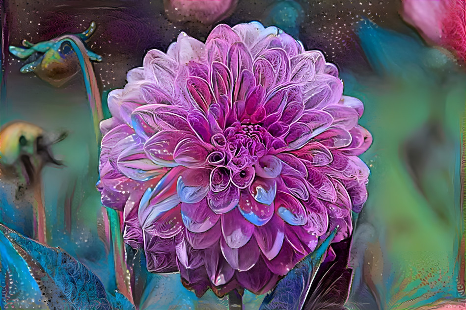 Dahlia