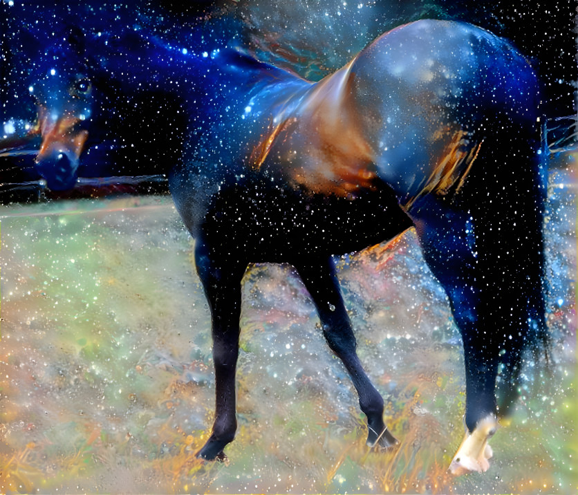 Star Horse