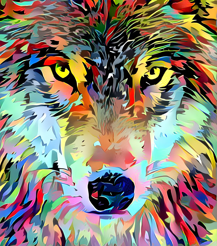 Rainbow Wolf