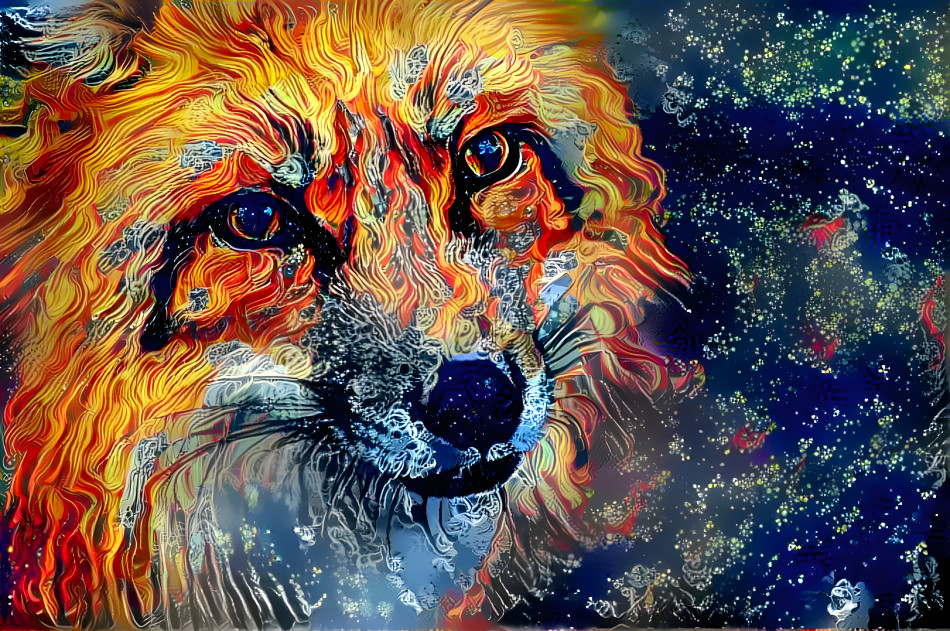 Fire Fox