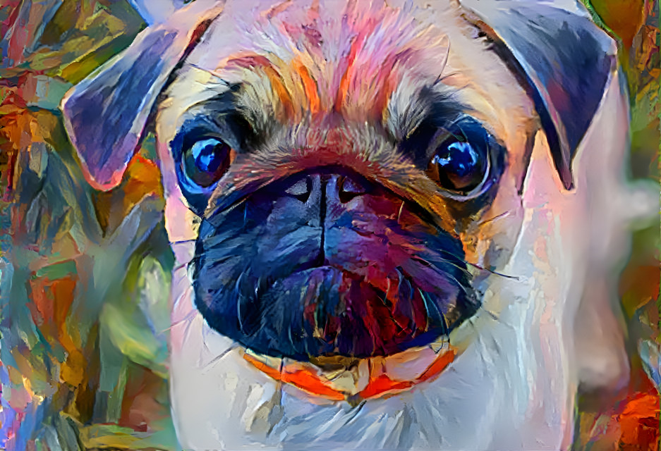 Pug