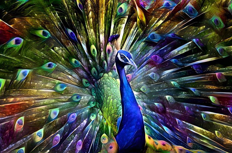 Peacock