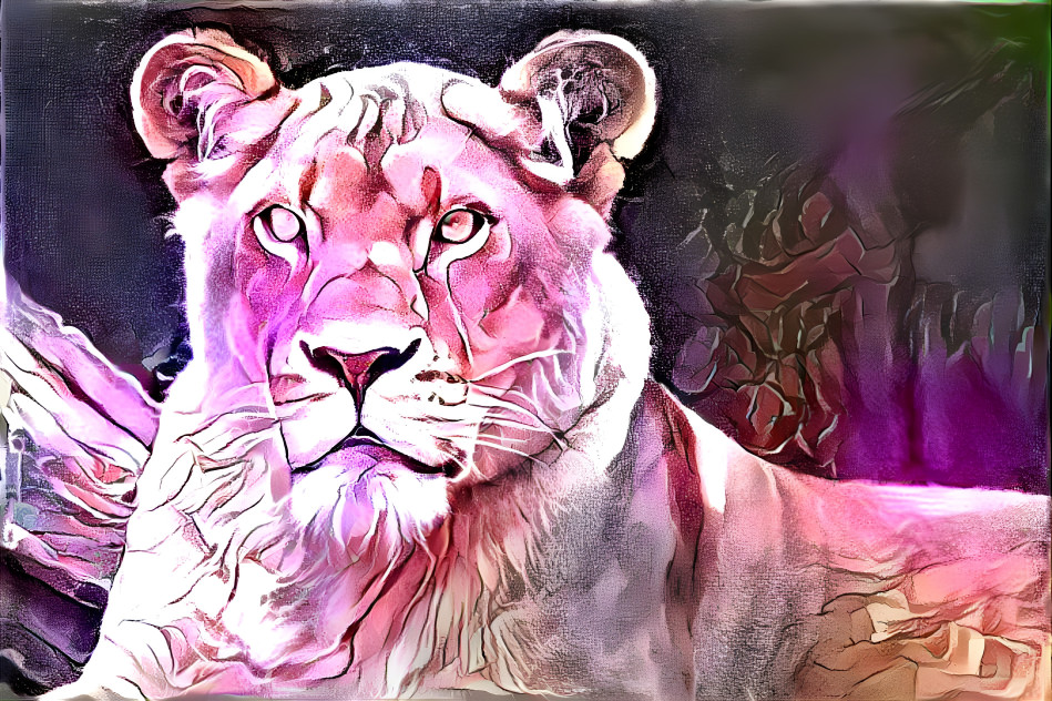 Pink Lioness