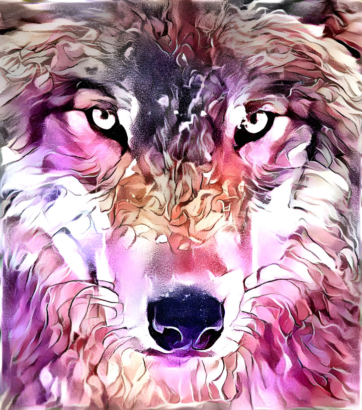 Pink Wolf