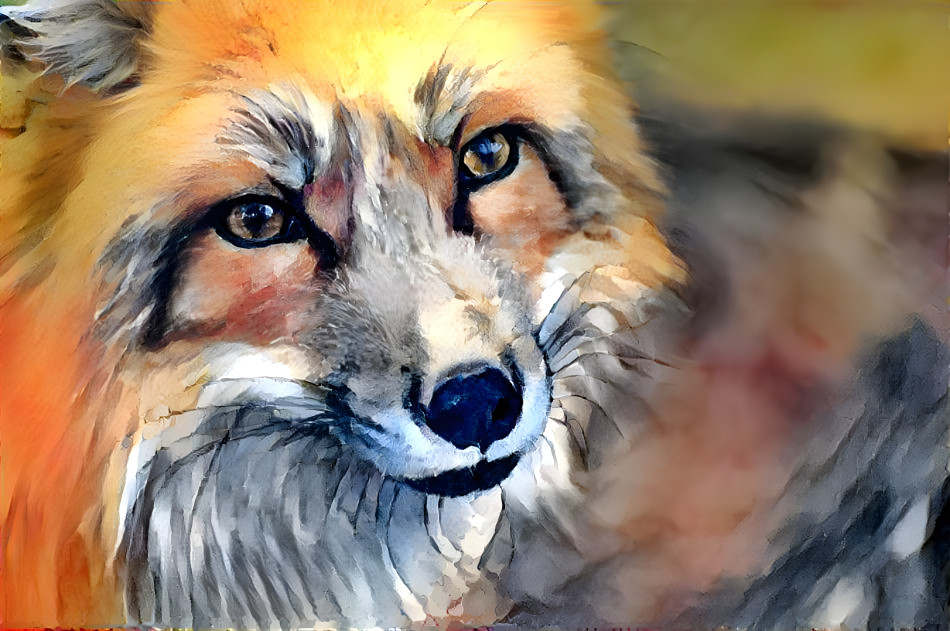 Red Fox