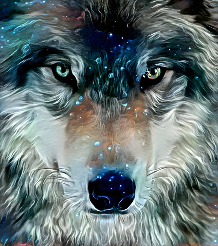 Wolf