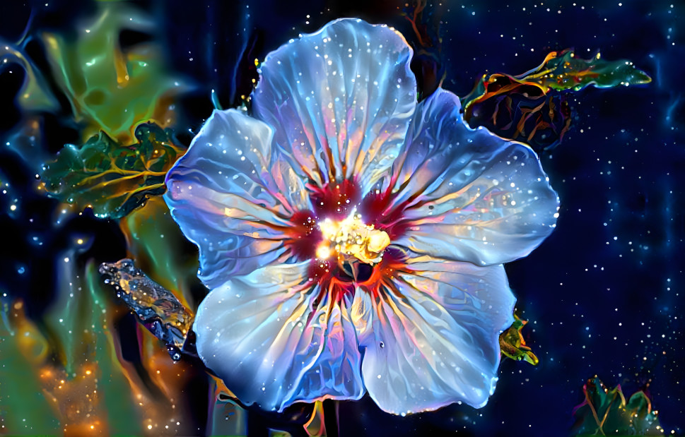 Galaxy Hibiscus