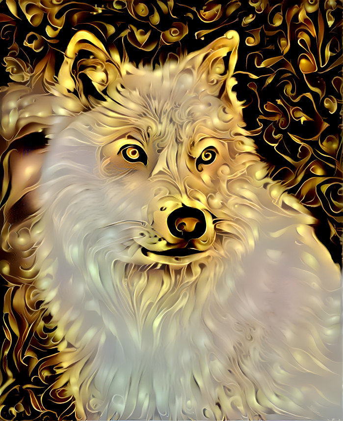 Golden Wolf